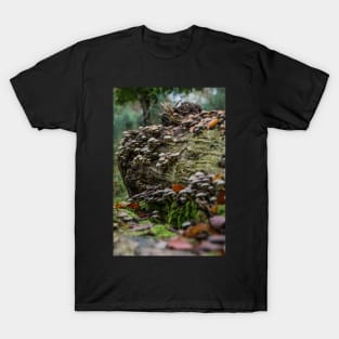 A natural highrise T-Shirt